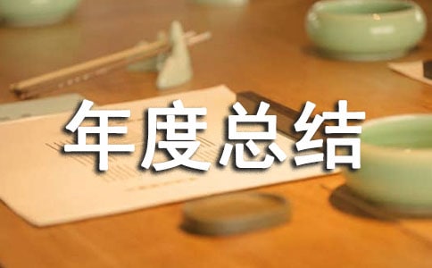 个人工作年度总结