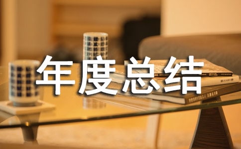 个人年度总结13篇