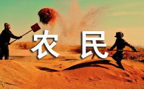 农民工劳动合同【经典】