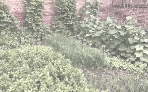 农作物种子代加工合同(3篇)