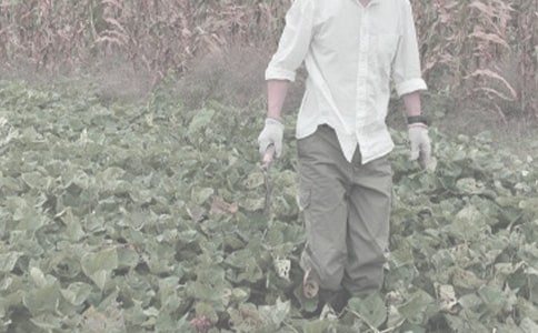 ������ũ�������Ӵ��������ͬ