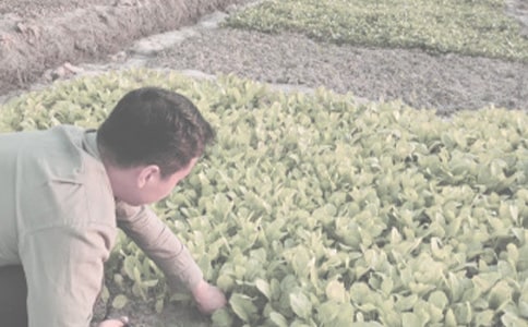 ũ�������Ӵ��ӹ���ͬ(2ƪ)