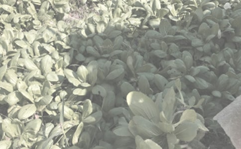 ����ũ��������������ͬ