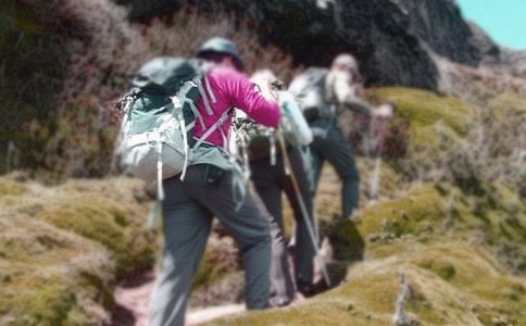 ����ɽ���Ľš���ѧ��˼(����)