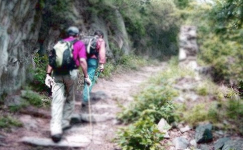 ��ɽ���ĽŽ�ѧ��˼