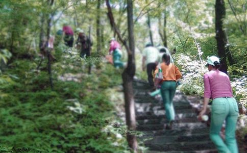 ����ȥ��ɽ���ռ�