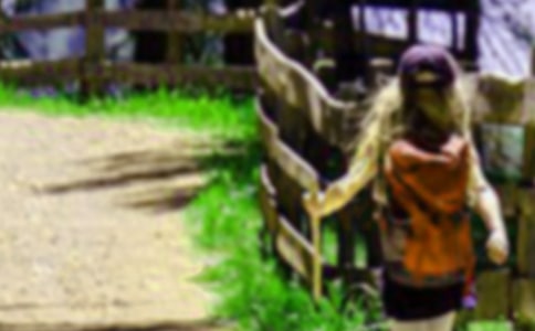 关于去爬山日记600字范文