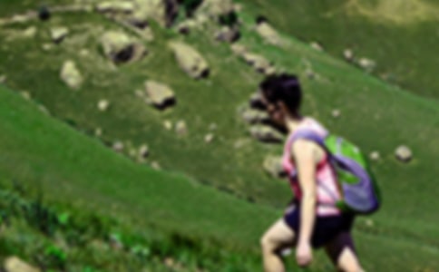 爬山的日记600字左右