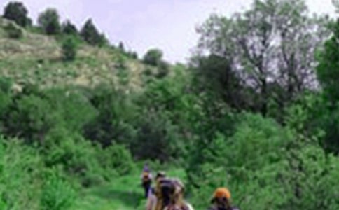 ����ɽ���Ľš���ѧ��˼����15ƪ