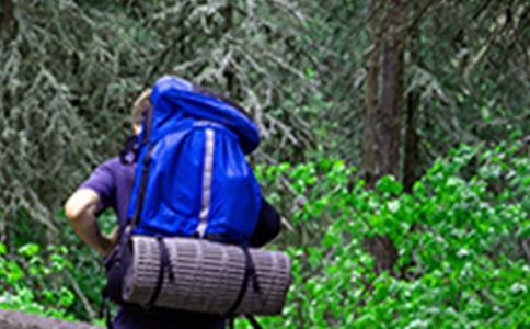 ��д��ɽ���ռǷ���