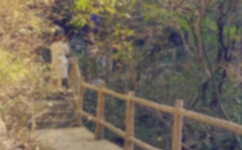 ��ɽСѧ����(15ƪ)