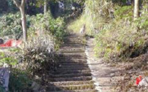 ��ɽ���ĽŽ�ѧ��˼[�ر�15ƪ]