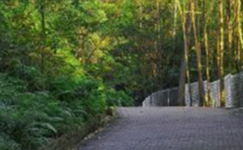 [��]����ɽ���Ľš���ѧ��˼