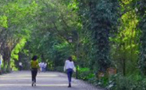 ������ɽ���ռ�