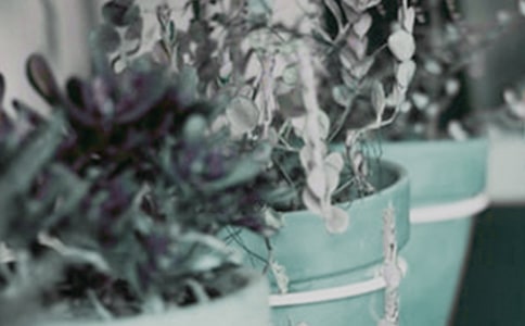 С����������̰�����ѧ��˼��������С���ԡ�