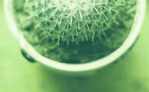 ��ǰ������