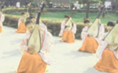 《琵琶行》教案(网友来稿) 教案教学设计