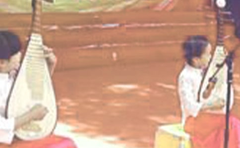 琵琶行(并序)(粤教版高一必修教案设计)