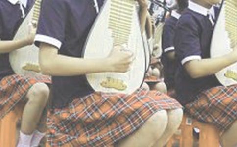 琵琶行(网友来稿) 教案教学设计