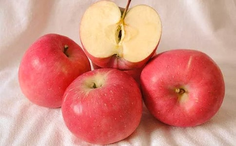 ����ƻ��˵��������