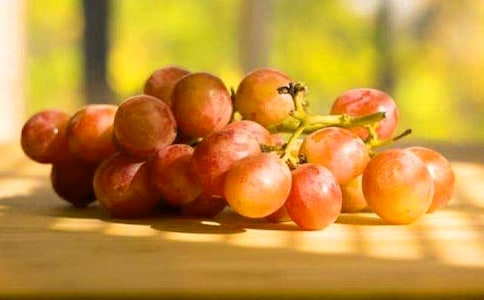 ժ���Ѷ��꼶����