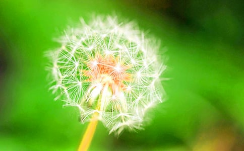 �й��ѹ�ӢСѧ����300�ֺϼ�7ƪ