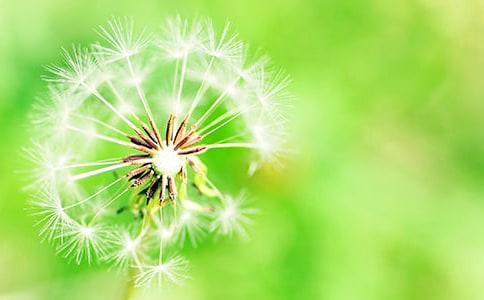 �����š��ѹ�ӢСѧ���Ļ��6ƪ