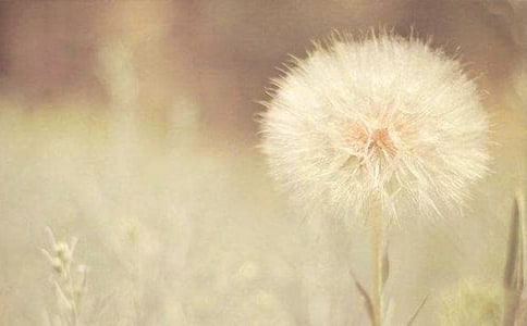 �ѹ�Ӣ�ĸ質 �ִ����Ķ���ϰ����