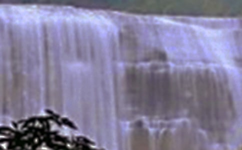 紫藤萝瀑布(网友来稿) 教案教学设计