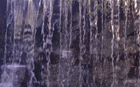 �ƹ����ٲ�(��ʦ����꼶���޽̰����)