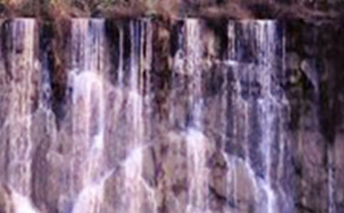 �������ٲ� �̰���ѧ���