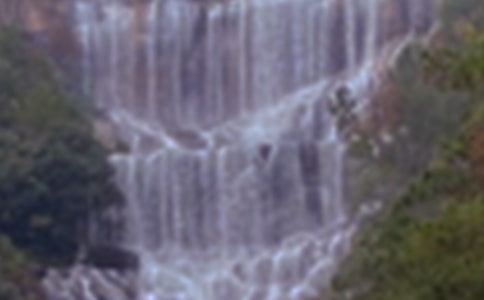 紫藤萝瀑布 教案教学设计