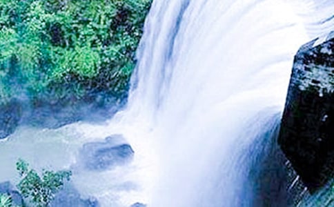 《紫藤萝瀑布》 教案教学设计(人教版七年级上册)