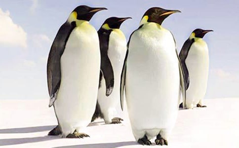 ������ռ�