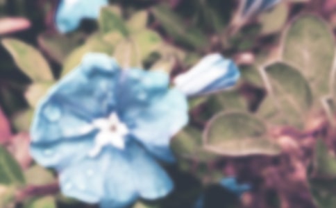 ǣţ����Сѧ����400����ƪ