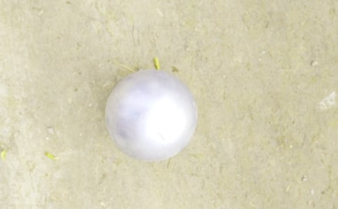 Ǧ����͸�18ƪ