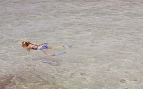 中班体育活动教案:潜水员探宝