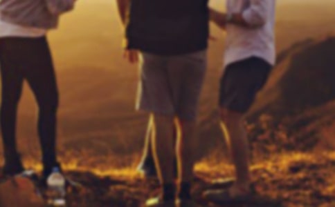 ����ɲ������ĵ����