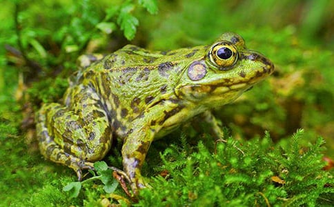 ��Цè�ռ�֮���ܺϳ��š������