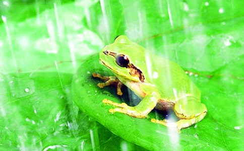 ��С���ܡ���ѧ��˼ʵ��(15ƪ)