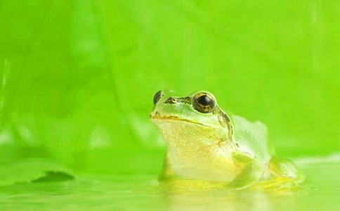 ���������ӡ������