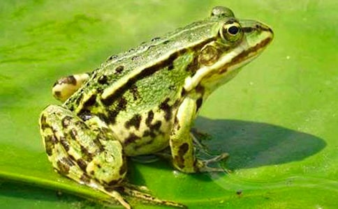 �����ܿ�������ѧ��˼(15ƪ)