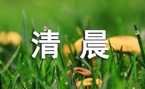 《清晨》说课稿范文