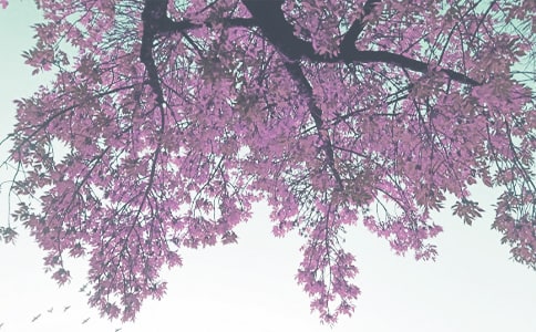 ���꼶�＾��ѧ�����ܽ�