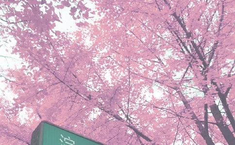 秋季写景作文15篇