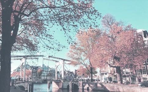 �＾��ȫ������̰�