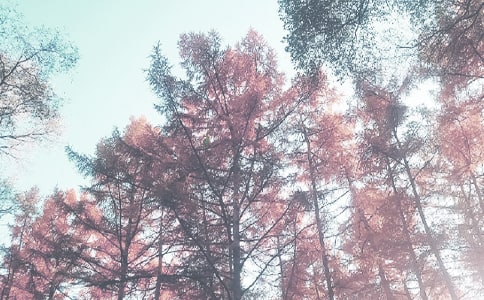 �＾ѧ�ڵڶ��ܽ�ѧ�����ܽ᷶��