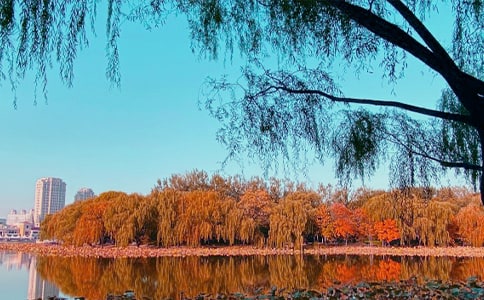 秋日的思念 学生作文范文(人教版七年级)