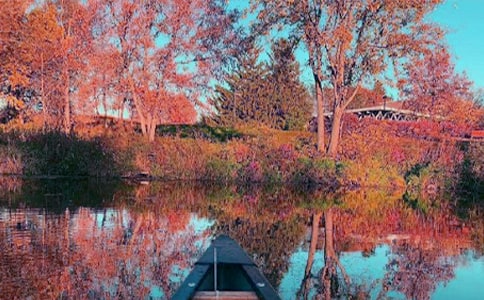 秋日黄昏(网友来稿)