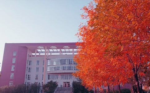 ������˵ġ����ա�